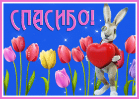 Picture классная открытка спасибо с тюльпанами и зайкой