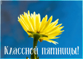 Картинка классной пятницы