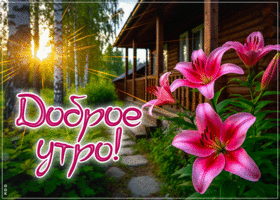 Picture красивая гиф-открытка, доброго и солнечного утра