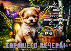 Postcard красивая гиф-открытка, насладитесь вечером сполна