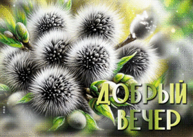 Postcard красивая гиф-открытка, шлет приятные пожелания на вечер