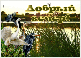 Открытка красивая картинка добрый вечер