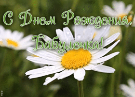 Открытка красивая картинка с днем рождения бабушке с надписями