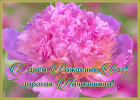 Картинка красивая картинка с днем рождения начальнице