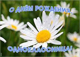 Открытка красивая картинка с днем рождения однокласснице с надписями