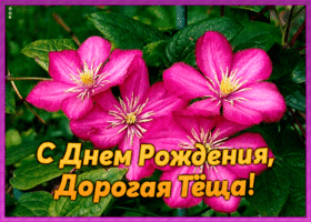 Открытка красивая картинка с днем рождения теще с надписями