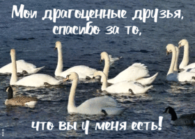 Открытка красивая открытка друзьям