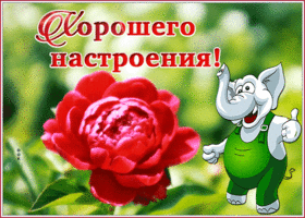 Открытка красивая открытка хорошего настроения на весь день