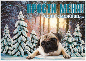 Открытка красивая открытка прости с зимой