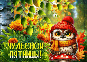 Postcard красивая открытка, пятница с вдохновением и теплом