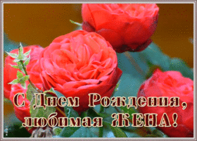 Картинка красивая открытка с днем рождения любимой жене