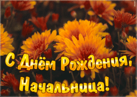 Картинка красивая открытка с днем рождения начальнице