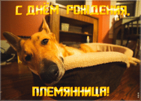 Открытка красивая открытка с днем рождения племяннице