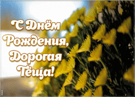 Открытка красивая открытка с днем рождения теще