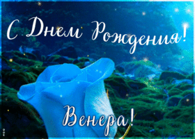 Картинка красивая открытка с днем рождения венера