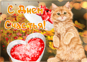 Картинка красивая открытка с днем счастья с котиком