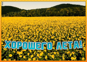 Картинка красивая открытка с летом