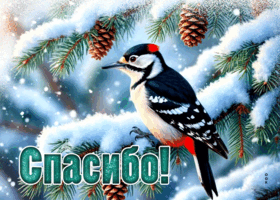 Picture красивая открытка, с огромным спасибо