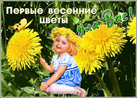 Открытка красивая открытка с цветами