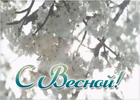 Открытка красивая открытка с весной