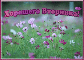 Открытка красивая открытка с вторником