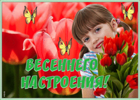 Картинка красивая открытка весеннего настроения