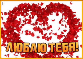 Картинка красивая открытка я люблю тебя