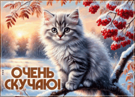 Postcard красивая зимняя гифка очень скучаю