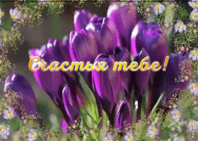 Картинка красивое поздравление на счастье