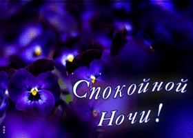 Открытка красивое пожелание спокойной ночи