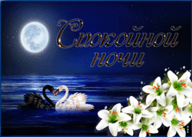 Открытка красивый плейкаст спокойной ночи