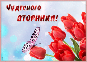 Картинка красочная открытка с вторником