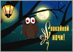 Картинка красочная открытка спокойной ночи