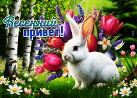 Postcard красочная гиф-открытка, весенний привет