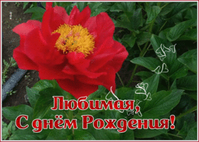 Открытка креативная открытка с днем рождения девушке