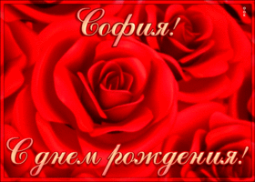 Открытка креативная открытка с днем рождения софия
