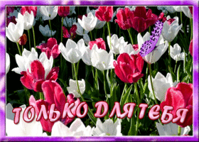 Открытка креативная открытка с тюльпанами