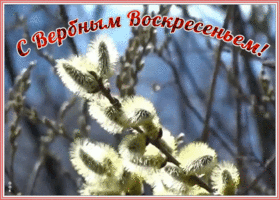 Картинка креативная открытка с вербным воскресеньем