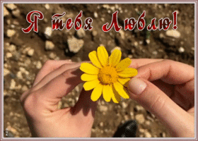 Картинка креативная открытка я тебя люблю