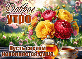 Postcard ласковая гиф-открытка, пусть светом наполняется утро и душа