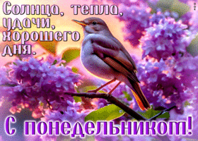 Postcard ласковая гиф-открытка, солнца, тепла и удачи в понедельник