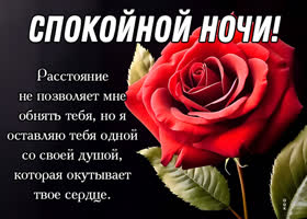 Picture легкая открытка с розой, желает спокойной ночи