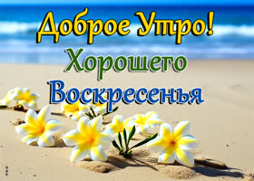 Picture летняя открытка с воскресным утром