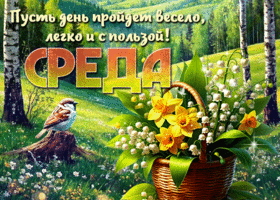 Postcard ликующая гиф-открытка, пусть среда пройдет весело