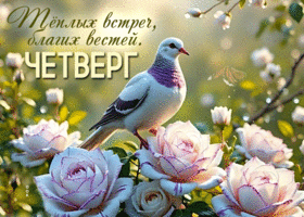 Picture лирическая гиф-открытка, теплых встреч в четверг