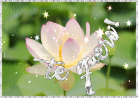 Открытка love
