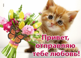 Picture лучезарная гиф-открытка отправляет привет