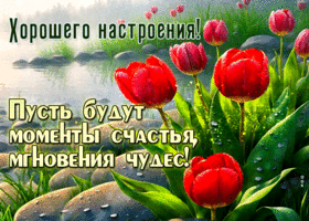 Postcard лучистая гиф-открытка, хорошего настроения и много моментов счастья