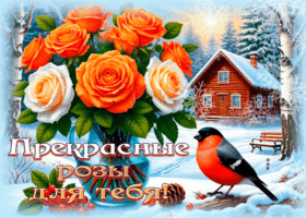 Picture лёгкая открытка, с яркими цветами