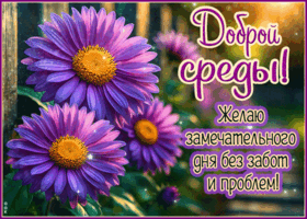 Postcard лёгкая открытка, хорошей среды